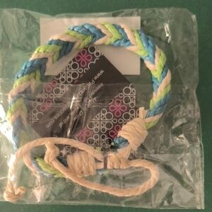 Paparazzi Blue and Green Braided Bracelet